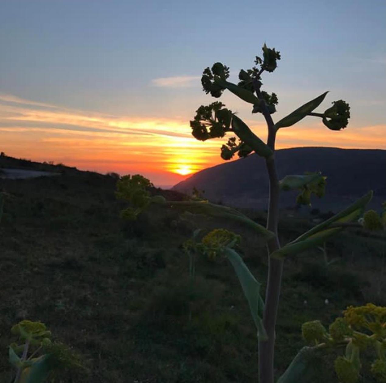 Bed and Breakfast In Sicilia Da Ciro Vita Екстер'єр фото